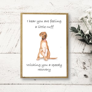 Get Well Soon Card Great Dane, funny get well soon, cute get well soon, Dog get well soon, Feel better soon, Handmade, Speedy Recovery