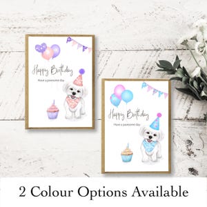 Maltese Shih Tzu Birthday Card - Happy Birthday Have a Pawsome Day | Funny Card | Cute card | Pun card | Greeting Card | Dog lover