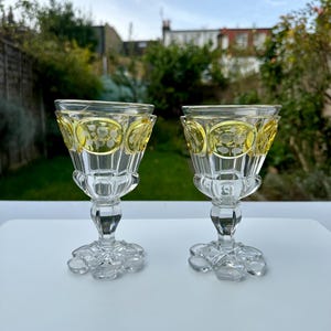 A Pair of Very Rare 19th Century Bohemian Goblets with Yellow Cabochons of Etched Decorations of Exotic Birds and Flowers