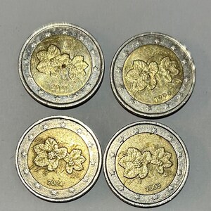 1999 - 2004 Finland Bergbraambesbloemen - 2 Euromunt