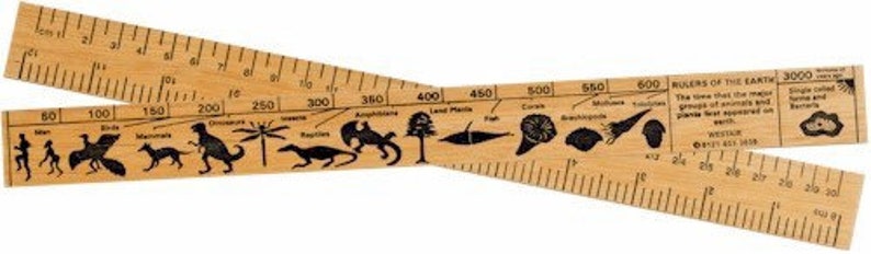 Natural History Wooden Timeline Ruler 30cm - Etsy