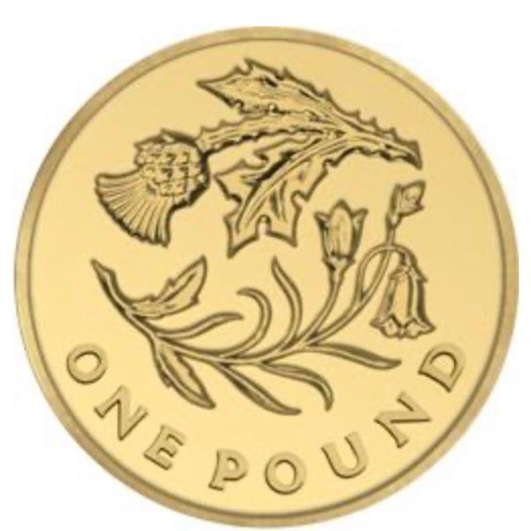 2013 - 2014 Floral England Scotland Wales And Ireland Cities One Pound Coin