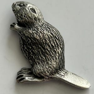 May include: A detailed, silver-coloured beaver figurine. The sculpture features textured fur, a flat tail, and small paws. The beaver is depicted in a seated position, with its paws near its chest. The figurine is likely made of metal.