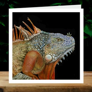 Iguana, 5x Art Charity Cards, ten voordele van Explorers Against Extinction.  6" vierkante kaarten met enveloppen