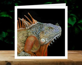 Iguana, 5x Art Charity Cards, in aid of Explorers Against Extinction.  6" square cards with envelopes