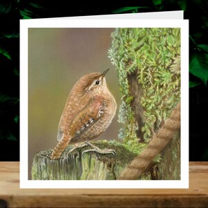 Wren, 5x cartes de charité artistiques, au profit d’Explorers Against Extinction.  Cartes carrées de 6 » avec enveloppes