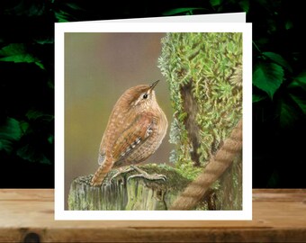 Wren, 5x  Art Charity Cards, in aid of Explorers Against Extinction.  6" square cards with envelopes
