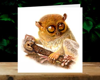 Bush baby, 5x Art Charity Cards, in aid of Explorers Against Extinction.  6" square cards with envelopes