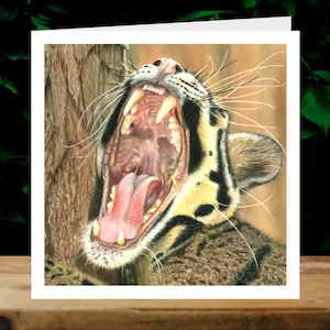 Panthère nébuleuse, 5x cartes de charité artistiques, au profit d’Explorers Against Extinction.  Cartes carrées de 6 » avec enveloppes