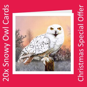 Harfang des neiges, 20x cartes de charité artistiques, au profit d’Explorers Against Extinction.  Cartes carrées de 6 » avec enveloppes