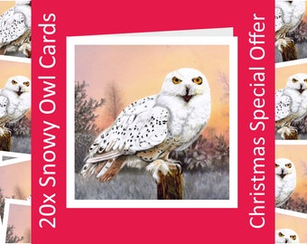 Snowy owl, 20x Art Charity Cards, in aid of Explorers Against Extinction.  6" square cards with envelopes