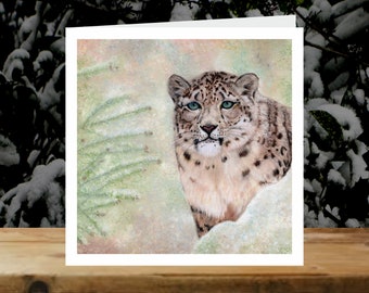 Snow leopard, 5x Christmas Art Charity Cards, in aid of Explorers Against Extinction.  6" square cards with envelopes