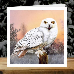 Harfang des neiges, 5x cartes de charité pour l’art de Noël, au profit d’Explorers Against Extinction.  Cartes carrées de 6 » avec enveloppes