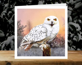 Snowy owl, 5x Christmas Art Charity Cards, in aid of Explorers Against Extinction.  6" square cards with envelopes
