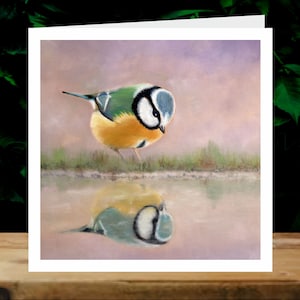 Mésange bleue, 5x cartes de charité artistiques, au profit d’Explorers Against Extinction.  Cartes carrées de 6 » avec enveloppes
