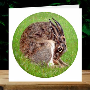 Lièvre, 5x cartes de charité artistiques, au profit d’Explorers Against Extinction.  Cartes carrées de 6 » avec enveloppes