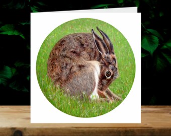 Hare, 5x Art Charity Cards, in aid of Explorers Against Extinction.  6" square cards with envelopes