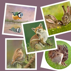 British Wildlife, 5x Art Charity Cards, au profit d’Explorers Against Extinction.  Cartes carrées de 6 » avec enveloppes
