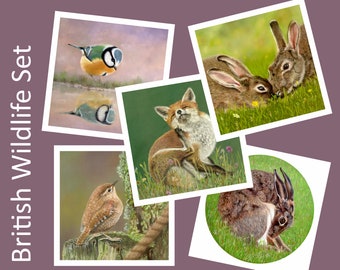British Wildlife, 5x Art Charity Cards, in aid of Explorers Against Extinction.  6" square cards with envelopes
