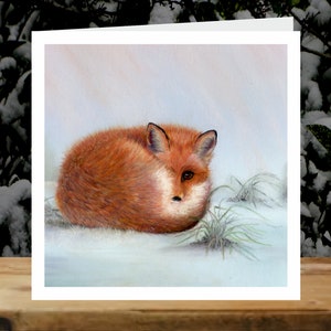 Fox 'Wrapped up warm', 5x cartes de charité d’art de Noël, au profit d’Explorers Against Extinction.  Cartes carrées de 6 » avec enveloppes