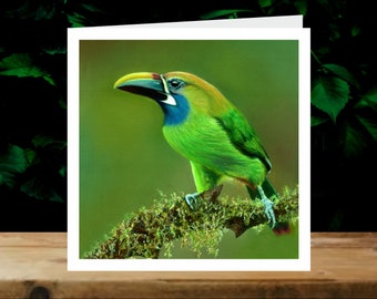 Emerald toucanet, 5x Art Charity Cards, in aid of Explorers Against Extinction.  6" square cards with envelopes