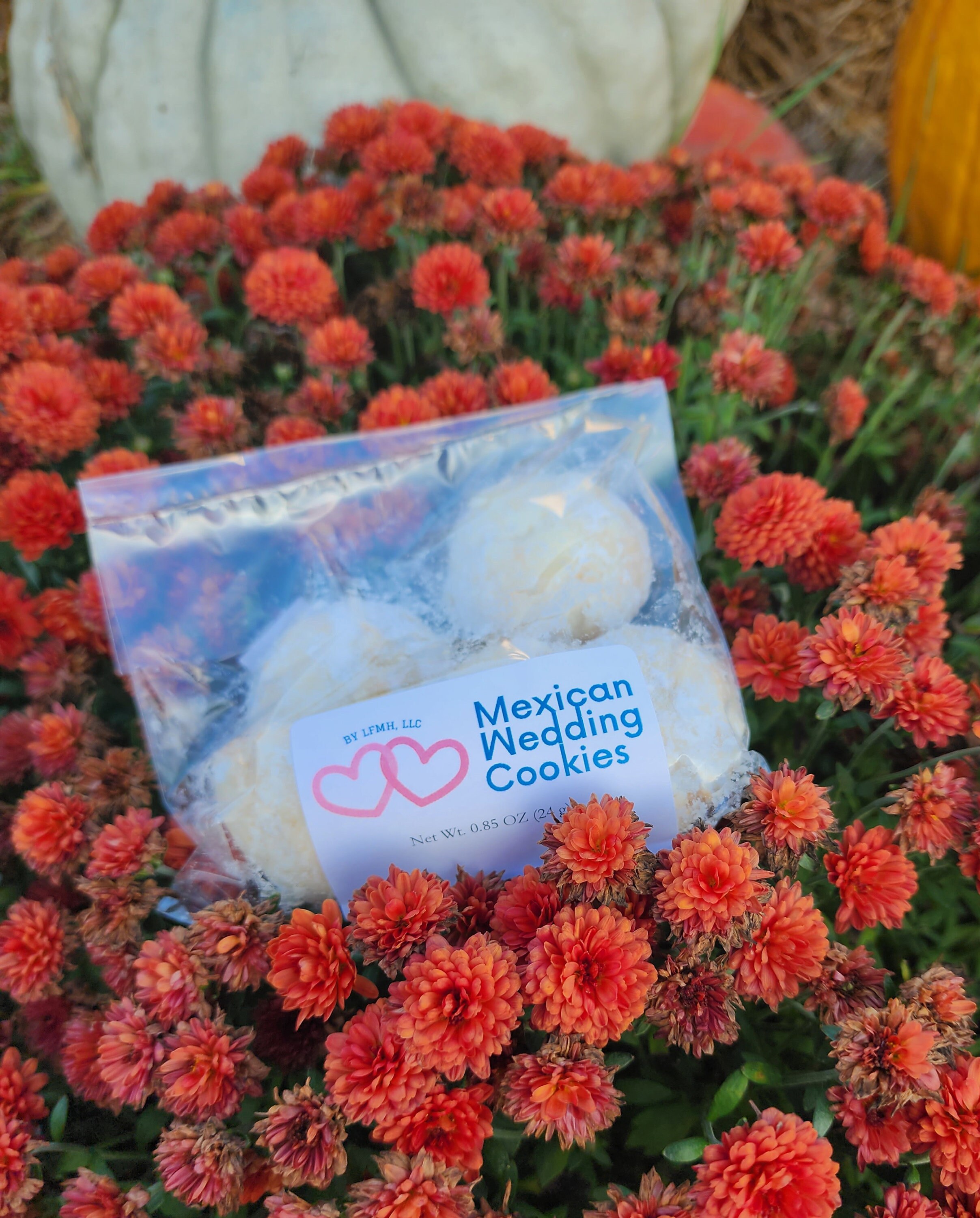 Nutfree Mexican Wedding Cookies by Treat Trek. Great for Etsy