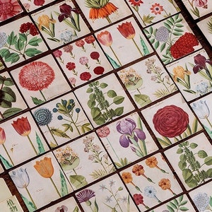 46 Mini Flowers and Plants Sticker Set, Scrapbook Stickers