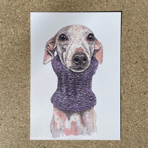 Italian Greyhound A5 Print - Perla. Artwork print, iggy drawing, Hand-Signed