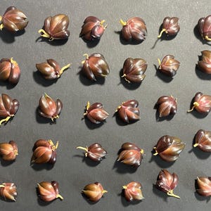 30 Tiger Lily Seeds: Lilium Columbianum, Orange Spotted Flowers