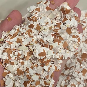 May include: Close-up of a hand holding a pile of crushed eggshells. The eggshells are a mix of white and brown, with irregular shapes and sizes. The image suggests a focus on gardening or composting.