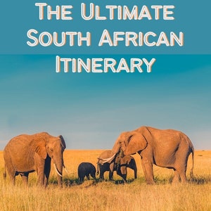 Może przedstawiać: Grupa czterech słoni, w tym małe słoniątko, stoi na polu wysokiej, złotej trawy. Niebo jest jasnoniebieskie z białymi chmurami. Na obrazie nałożony jest tekst "The Ultimate South African Itinerary".