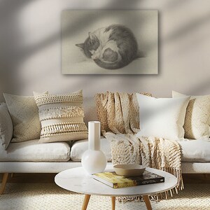 May include: A black and white cat curled up sleeping on a white background. The cat is drawn in pencil.