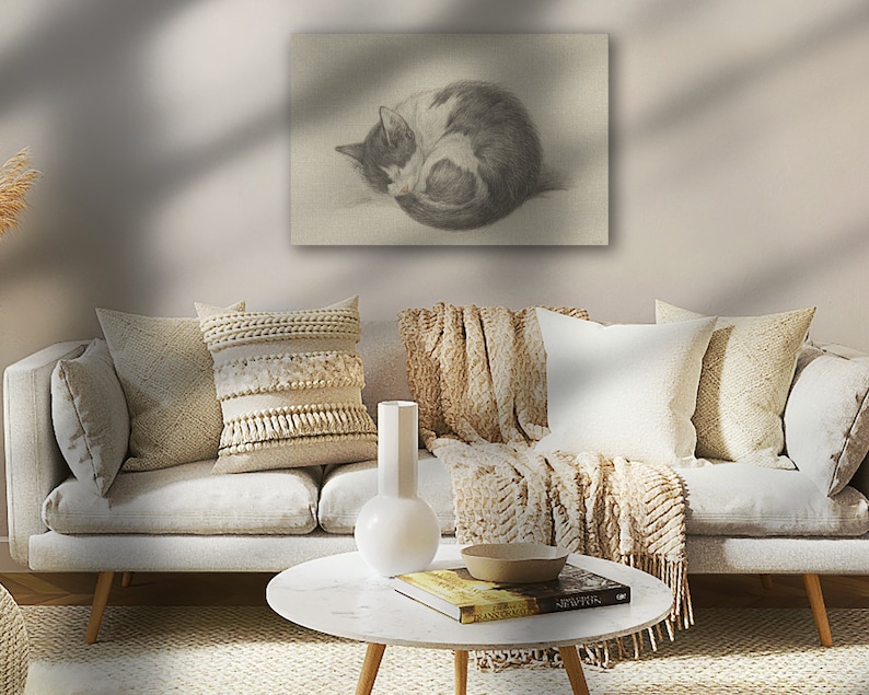 May include: A black and white cat curled up sleeping on a white background. The cat is drawn in pencil.