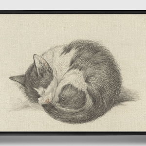 May include: A black and white cat curled up in a ball, sleeping. The cat is drawn in pencil on a textured canvas.