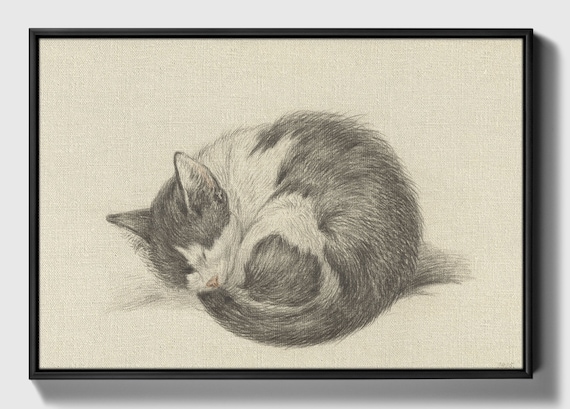 Sleeping Cat Rolled into a Ball, by Jean Bernard, 1825, Dutch chalk drawing Wall Art, Framed canvas art