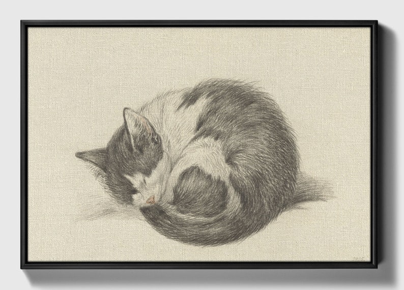 May include: A black and white cat curled up in a ball, sleeping. The cat is drawn in pencil on a textured canvas.