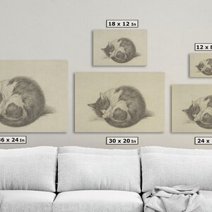 May include: A black and white cat curled up in a ball, sleeping on a beige background. The image is available in five different sizes: 18 x 12 inches, 12 x 8 inches, 36 x 24 inches, 30 x 20 inches, and 24 x 16 inches.