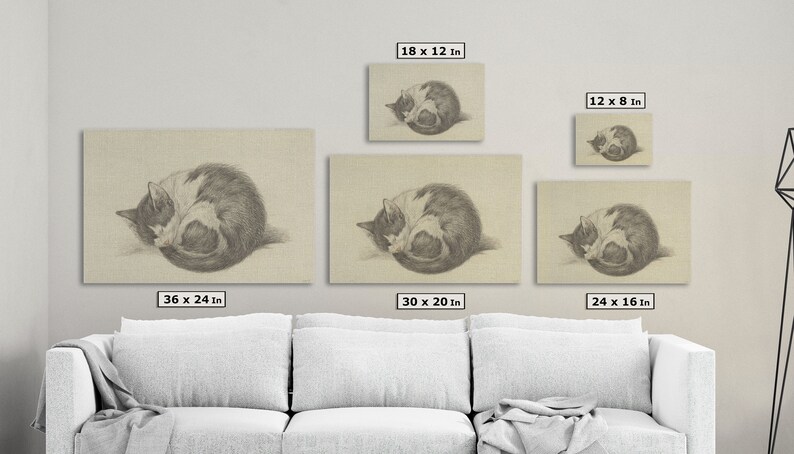 May include: A black and white cat curled up in a ball, sleeping on a beige background. The image is available in five different sizes: 18 x 12 inches, 12 x 8 inches, 36 x 24 inches, 30 x 20 inches, and 24 x 16 inches.