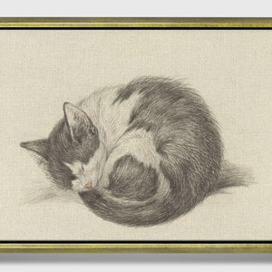 May include: A black and white cat curled up in a ball, sleeping on a light beige background. The cat's fur is detailed with shading, giving it a realistic appearance.