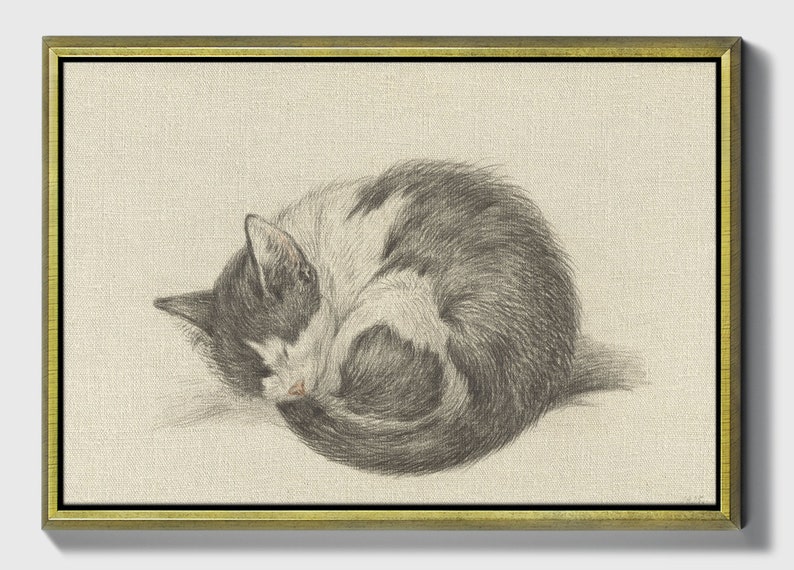 May include: A black and white cat curled up in a ball, sleeping on a light beige background. The cat's fur is detailed with shading, giving it a realistic appearance.