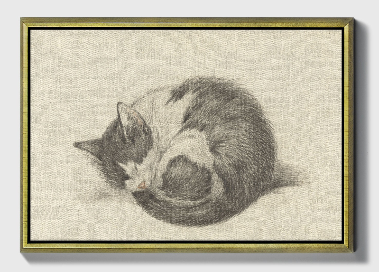 Sleeping Cat Rolled Into a Ball, by Jean Bernard, 1825, Dutch