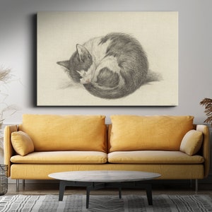 May include: A black and white cat curled up in a ball, sleeping on a light beige background. The cat is drawn in pencil, with detailed fur and facial features.