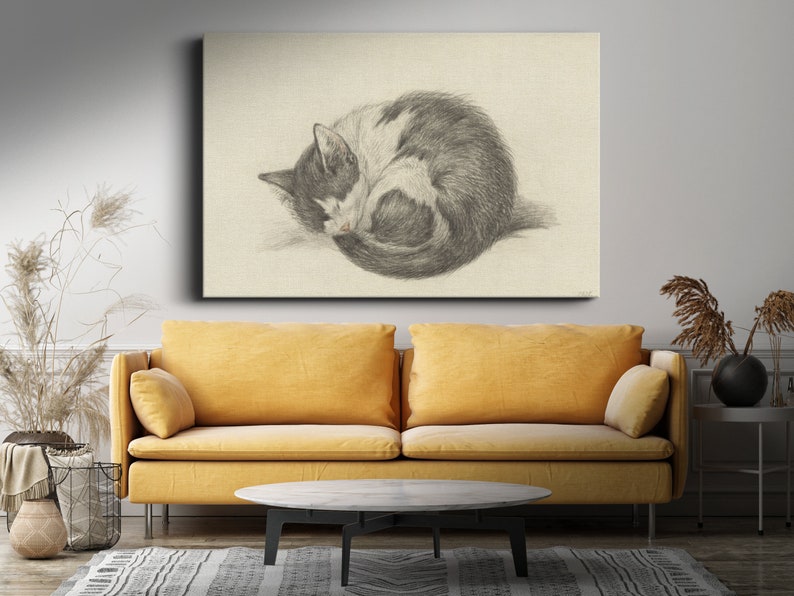 May include: A black and white cat curled up in a ball, sleeping on a light beige background. The cat is drawn in pencil, with detailed fur and facial features.