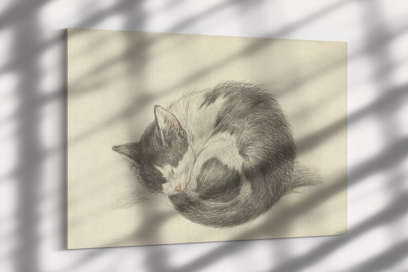 May include: A black and white cat curled up in a ball, sleeping on a light beige background.