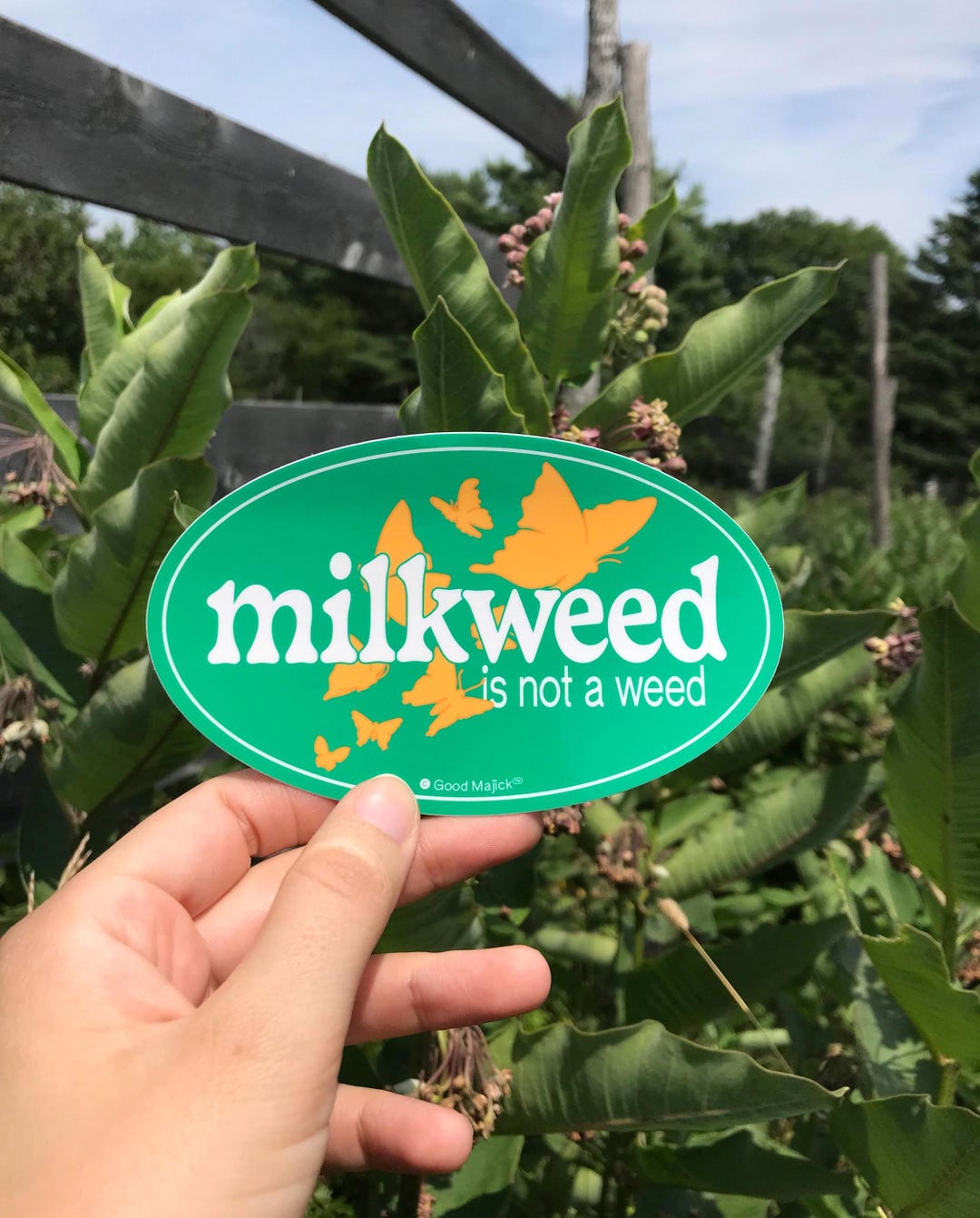 Milkweed Sticker - Etsy
