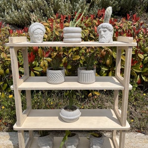 May include: A three-tiered wooden shelf unit with a light wood finish. The shelves are filled with various potted plants and decorative concrete sculptures of human faces.