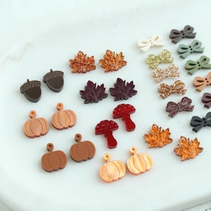 May include: A collection of small decorative charms in various shapes including acorns, pumpkins, mushrooms, maple leaves, and bows. The items feature diverse colors such as brown, orange, red, green, cream, and glittery gold, each with a small loop for hanging.