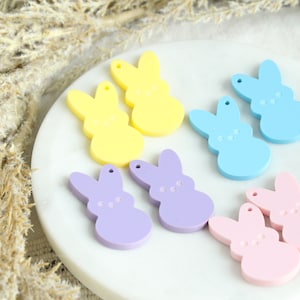 May include: Eight pastel-colored bunny shaped charms, two each in yellow, light blue, purple, and pink. The charms are made of plastic and have a smooth, glossy finish.