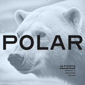 Professional Font Polar Collection: Dynamic and Authoritative Typography Options for Branding, Logos and Design Projects