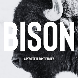 Colección Professional Font Bison: opciones de tipografía dinámicas y autorizadas para marcas, logotipos y proyectos de diseño